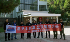 2019土耳其博物之旅：穿行于历史，俯拾皆故事