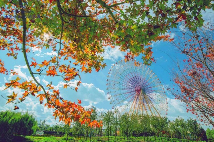 城势所向 文旅先行 七彩云南·古滇名城 以文旅共创区域美好未来