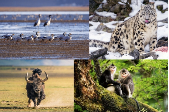 江西五十铃联合科考第三季征途再启