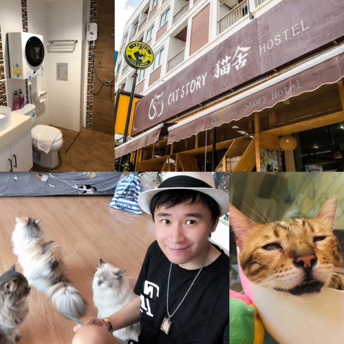 演员张佳荣游普吉岛意外发现 猫舍酒店Cat story hotel