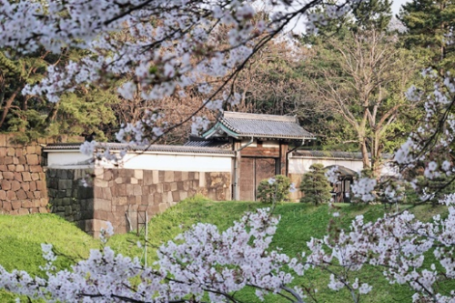 【日本】东京探店：各种美貌的樱花限定！