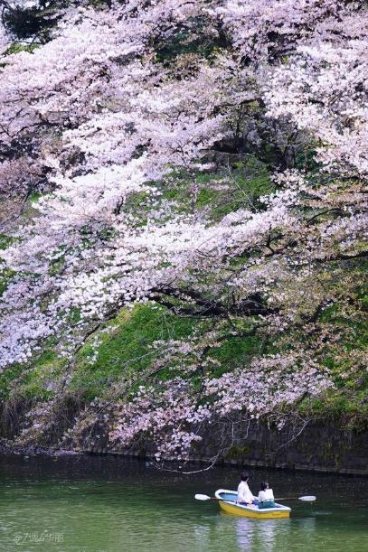 【日本】东京探店：各种美貌的樱花限定！