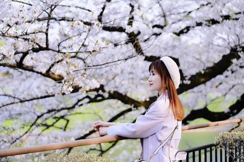 【日本】东京探店：各种美貌的樱花限定！