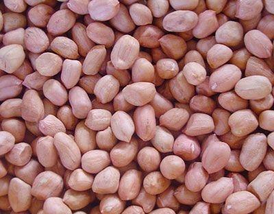 秋季白斑患者补充大脑营养有哪些食物特别适合？