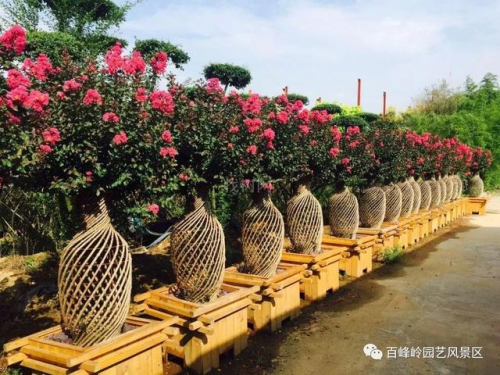 江西省文旅厅长池红视察高安百峰岭景区 推动乡村旅游复工复产