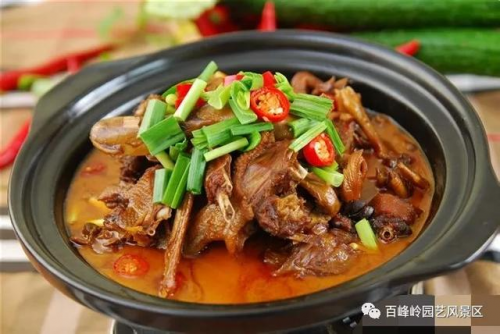 江西省文旅厅长池红视察高安百峰岭景区 推动乡村旅游复工复产