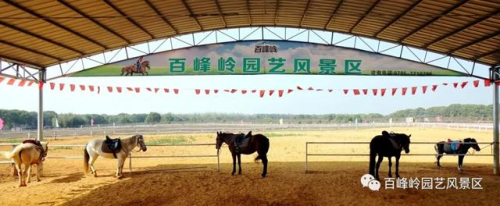 江西省文旅厅长池红视察高安百峰岭景区 推动乡村旅游复工复产