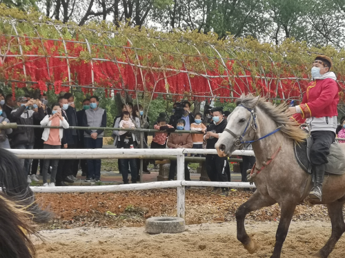 江西省文旅厅长池红视察高安百峰岭景区 推动乡村旅游复工复产