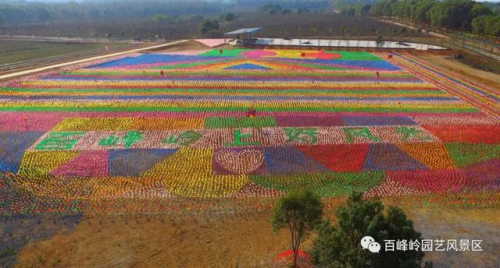 江西省文旅厅长池红视察高安百峰岭景区 推动乡村旅游复工复产