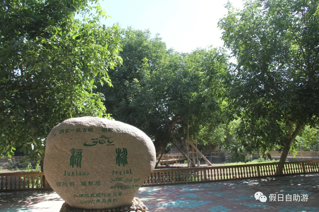 请收好这份来自新疆和田的自驾旅游攻略