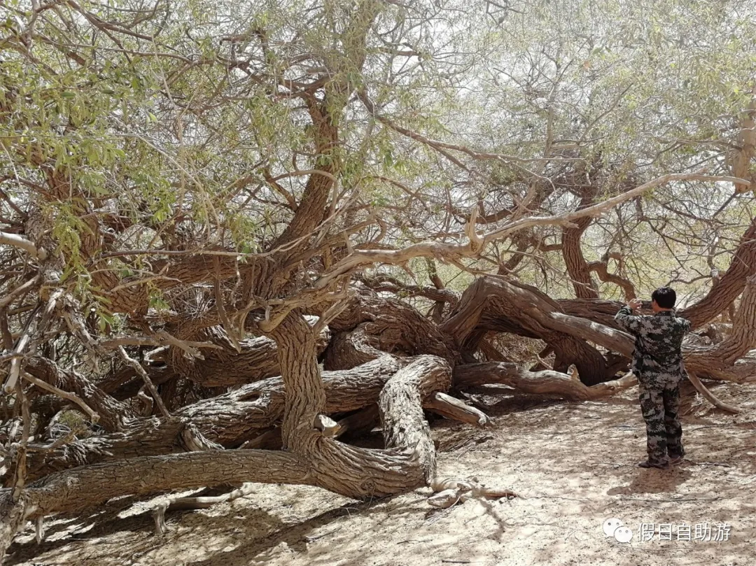 请收好这份来自新疆和田的自驾旅游攻略