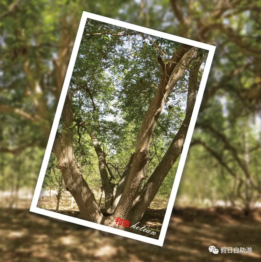 请收好这份来自新疆和田的自驾旅游攻略