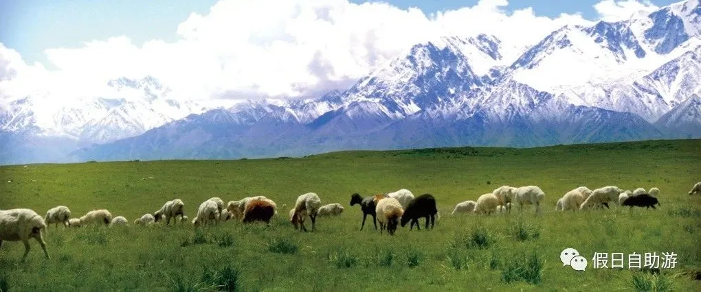 请收好这份来自新疆和田的自驾旅游攻略