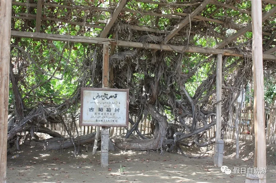 请收好这份来自新疆和田的自驾旅游攻略