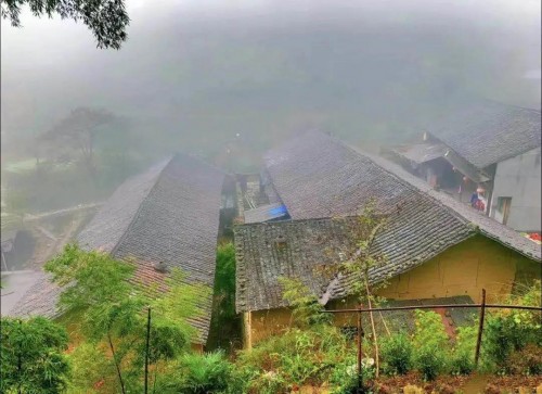 “精品一日游”线路 大美云和欢迎你！