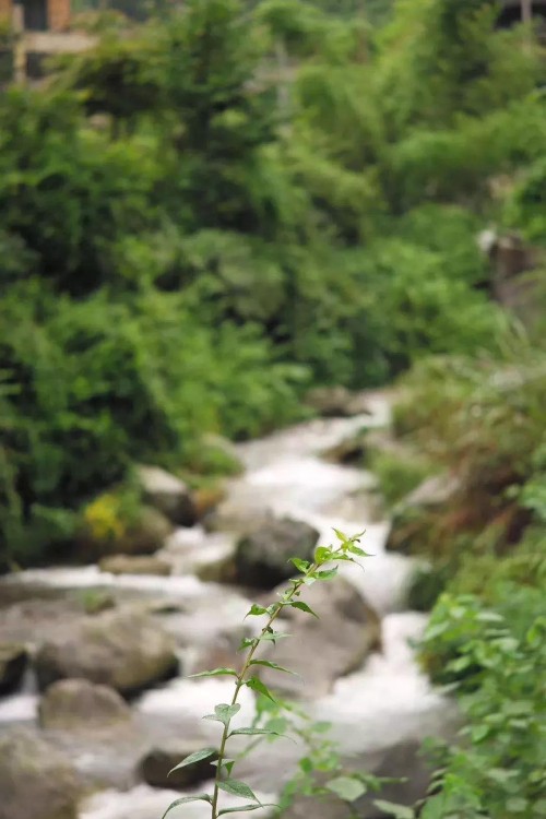 “精品一日游”线路 大美云和欢迎你！