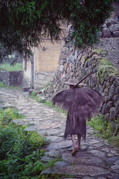 “精品一日游”线路 大美云和欢迎你！