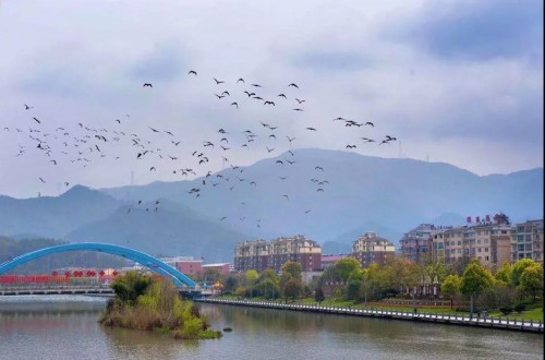 “精品一日游”线路 大美云和欢迎你！