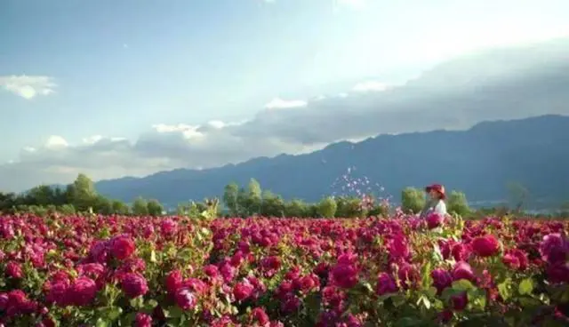 速看！五一期间，和田最火旅游路线出炉！