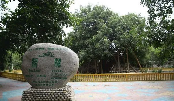 速看！五一期间，和田最火旅游路线出炉！