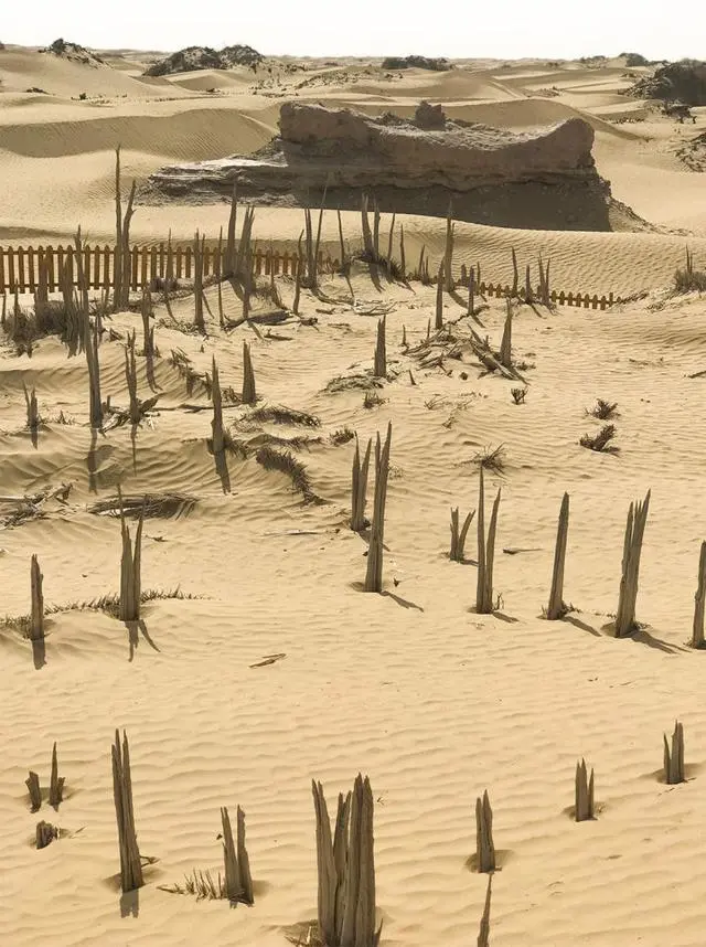 新疆尼雅遗址：千年来，被塔克拉玛干风沙掩埋的“精绝古国”