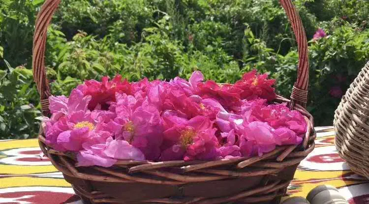 5·19中国旅游日丨和田地区旅游活动精彩回顾