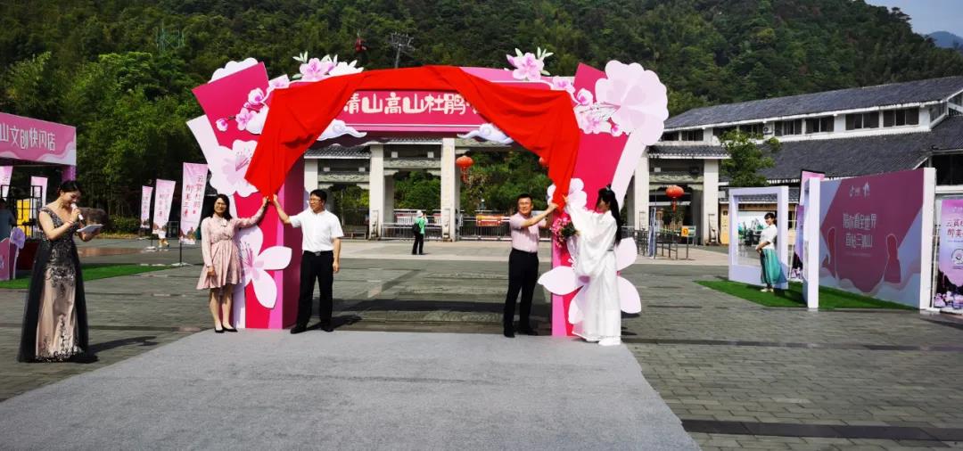 花间直播醉浪漫丨2020三清山“高山杜鹃赏花月”活动火爆开启