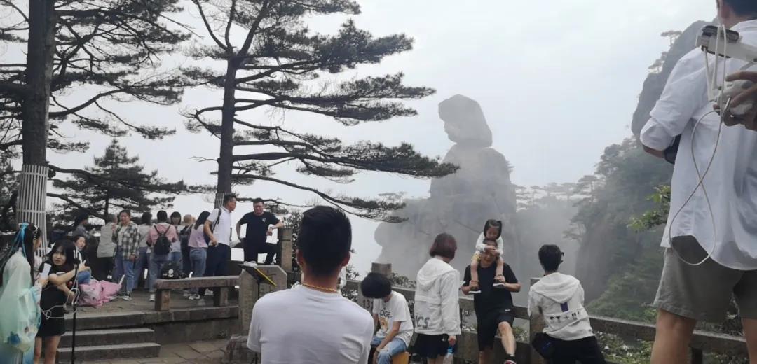 花间直播醉浪漫丨2020三清山“高山杜鹃赏花月”活动火爆开启