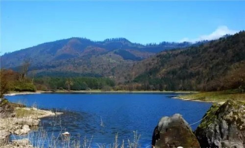 点赞 | 峨边两家“国家森林乡村”,古井村上榜!