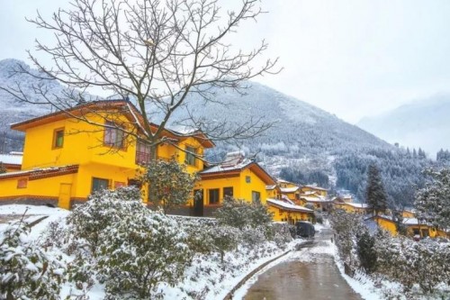 点赞 | 峨边两家“国家森林乡村”,古井村上榜!