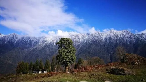 点赞 | 峨边两家“国家森林乡村”,古井村上榜!