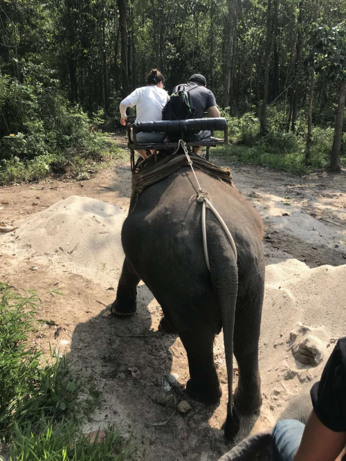 红蚁旅游怎么样 红蚁旅游泰国6天5晚体验