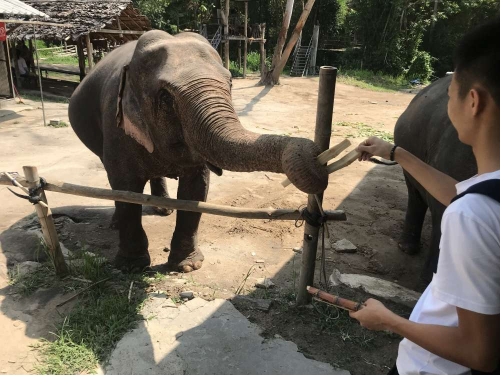 红蚁旅游怎么样 红蚁旅游泰国6天5晚体验