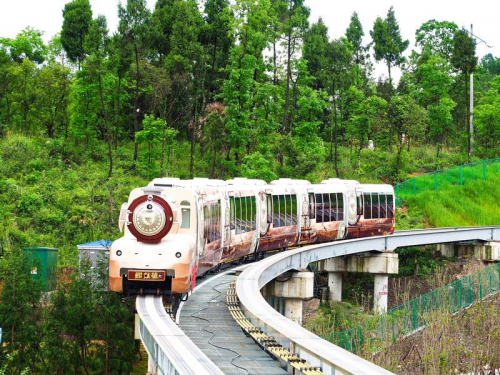 鰼部森林小火车 尽享悠闲时光