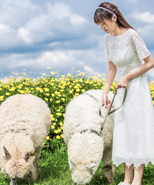 重新遇见自己 ！秋日花海~大理旅拍