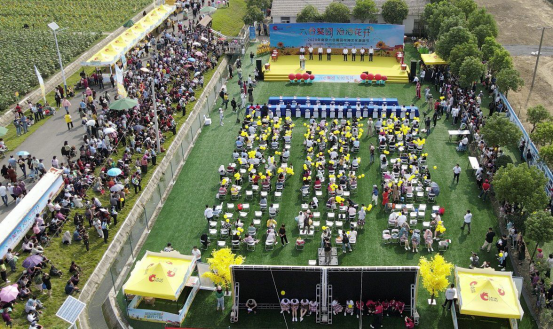 万亩葵花齐绽放，洽洽葵园再启航