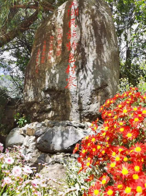 雪山迷笛之夜圆满落幕！丽江再出发！