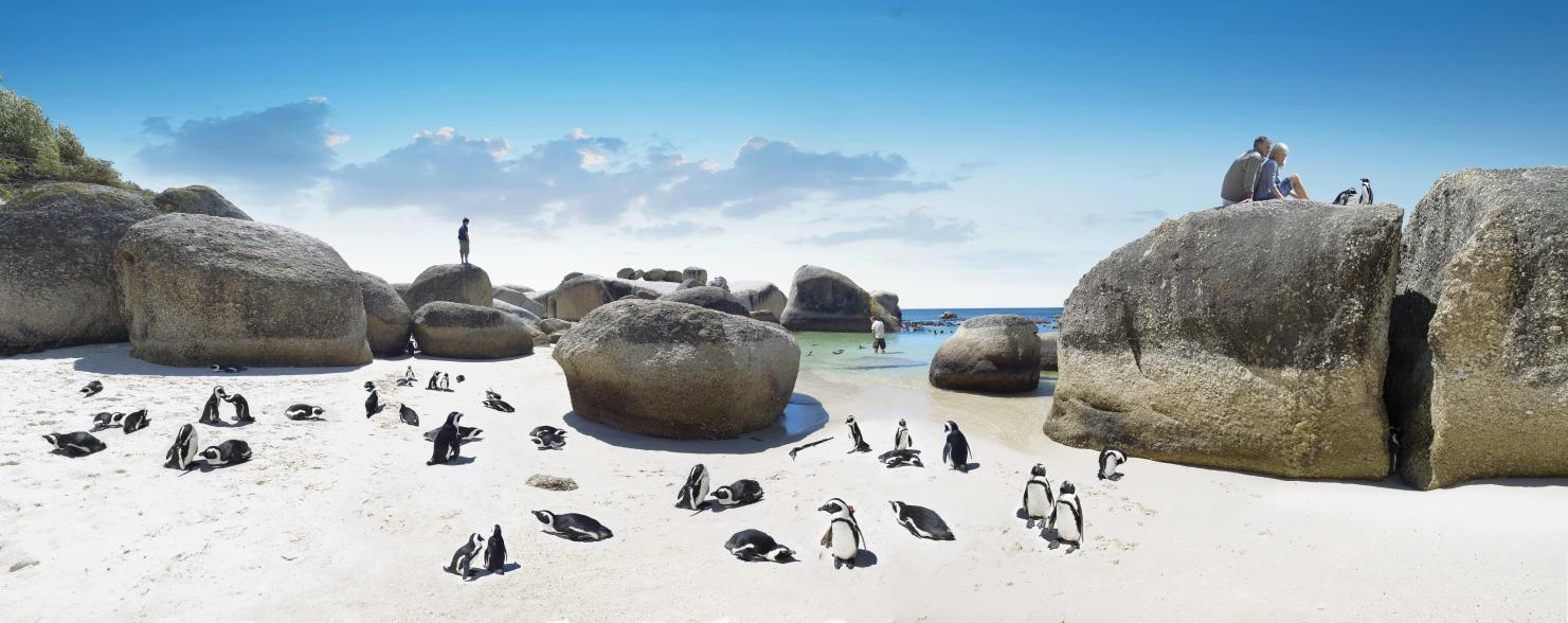 南非旅游局推出知识短视频系列 展示南非的自然与文化魅力