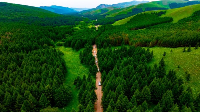 七彩森林限时加场！唐艺演出狂欢延长至18号！