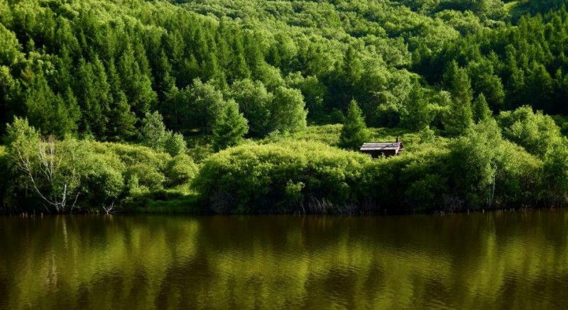 七彩森林限时加场！唐艺演出狂欢延长至18号！