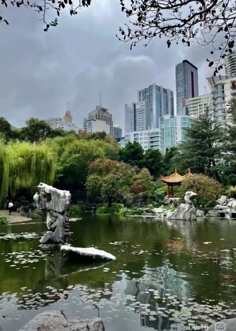 澳大利亚华人历史博物馆(amofch) Australian Museum of Chinese History