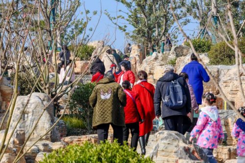 鄂州园博园正式开园，打造华中首个“园林+动物”融合文旅新地标