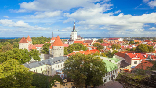 淄博烧烤，点燃芬兰研学